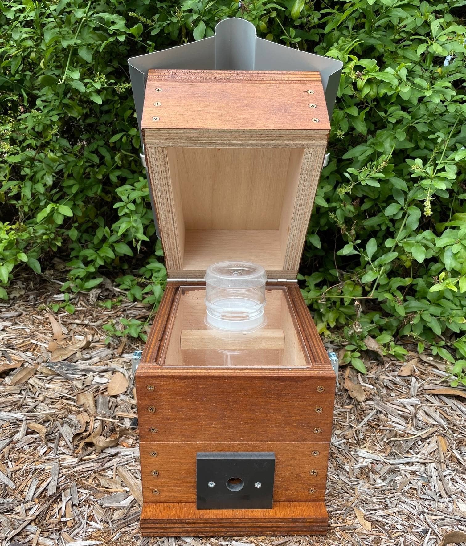 ABeeC Hives Stained OATH Beehve Stingless Native Beehive Perspex Honey Jar Hinged Lid Design with Roof Native Beehive ABeeC Hives 