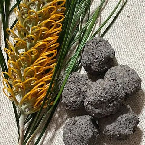 Australian Native Wildflowers Seed Bombs - 6 pcs Seed Bombs Aussie Seed Bombs 