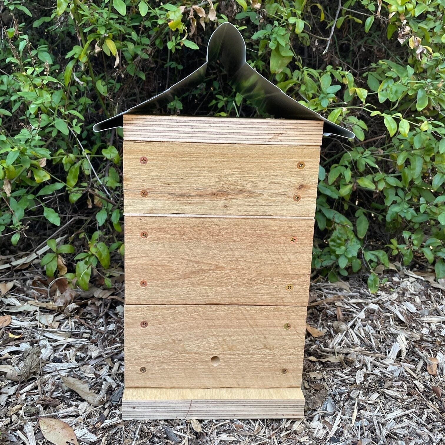 Beloved Bees 50mm Cypress Pine Rough Sawn Stingless Australian Native Bush Bee Box Hive Native Beehive Beloved Bees 