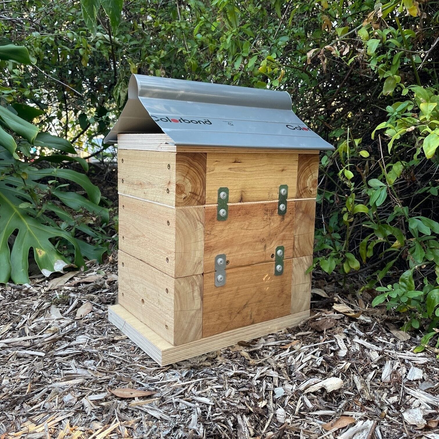 Beloved Bees 50mm Cypress Pine Rough Sawn Stingless Australian Native Bush Bee Box Hive Native Beehive Beloved Bees 