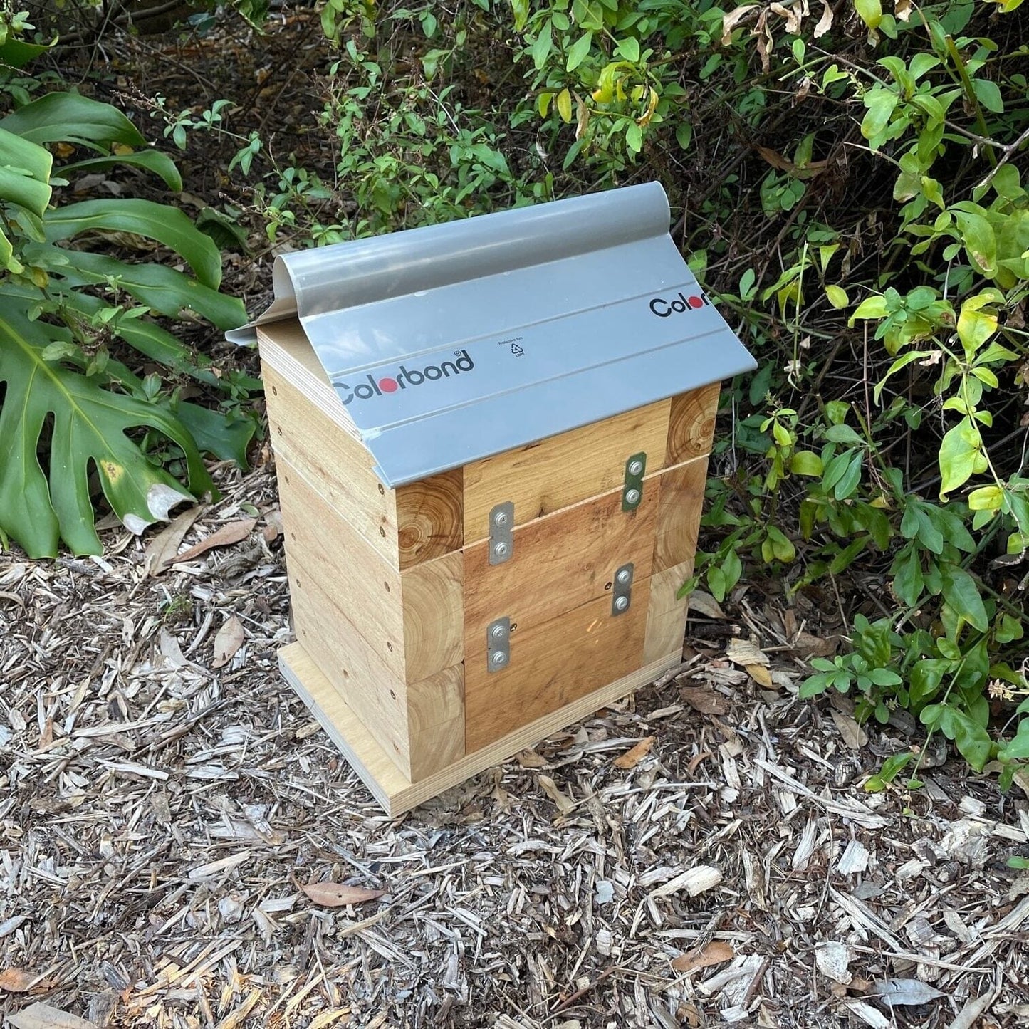 Beloved Bees 50mm Cypress Pine Rough Sawn Stingless Australian Native Bush Bee Box Hive Native Beehive Beloved Bees 