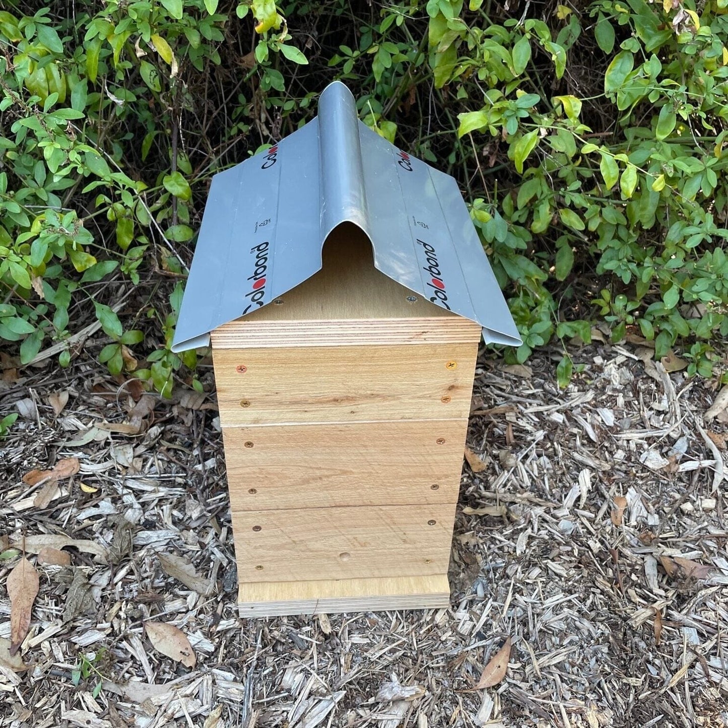 Beloved Bees 50mm Cypress Pine Rough Sawn Stingless Australian Native Bush Bee Box Hive Native Beehive Beloved Bees 