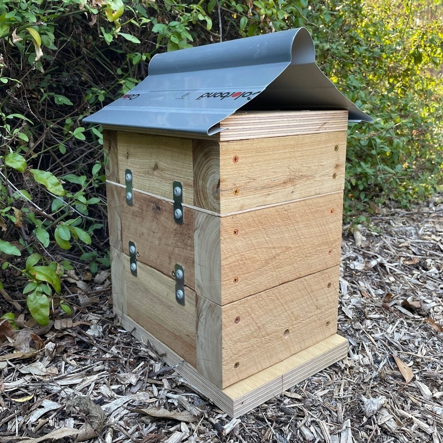 Beloved Bees 50mm Cypress Pine Rough Sawn Stingless Australian Native Bush Bee Box Hive Native Beehive Beloved Bees 