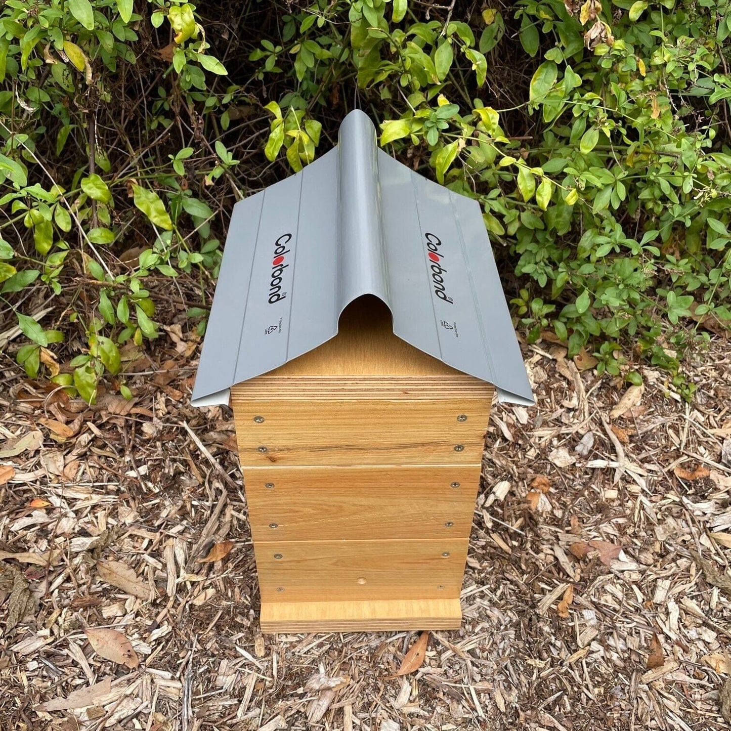 Beloved Bees 50mm Cypress Pine Varnish Rough Sawn Stingless Australian Native Bush Bee Box Hive (Copy) Native Beehive Beloved Bees 