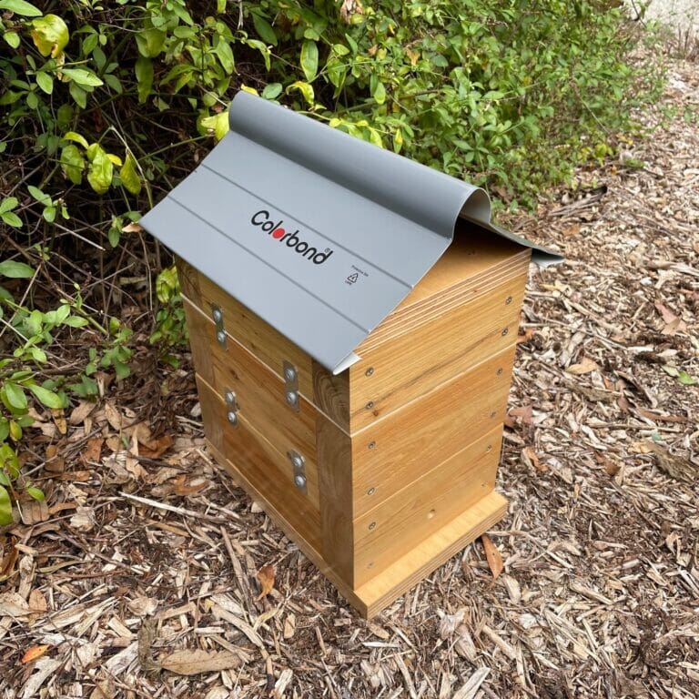Beloved Bees 50mm Cypress Pine Varnish Rough Sawn Stingless Australian Native Bush Bee Box Hive (Copy) Native Beehive Beloved Bees 