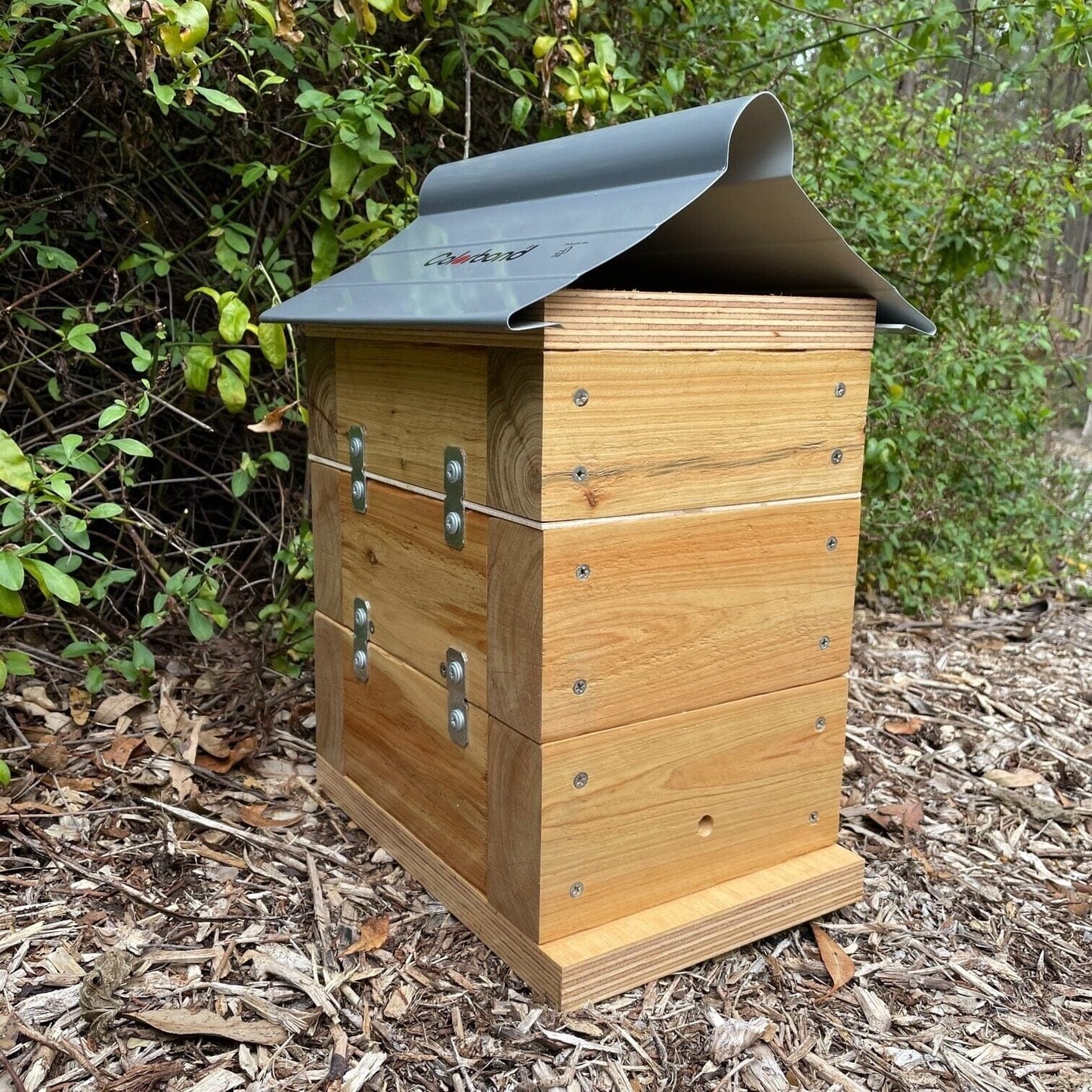 Beloved Bees 50mm Cypress Pine Varnish Rough Sawn Stingless Australian Native Bush Bee Box Hive (Copy) Native Beehive Beloved Bees 