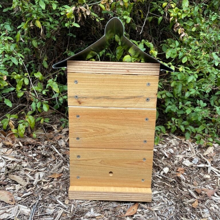 Beloved Bees 50mm Cypress Pine Varnish Rough Sawn Stingless Australian Native Bush Bee Box Hive (Copy) Native Beehive Beloved Bees 