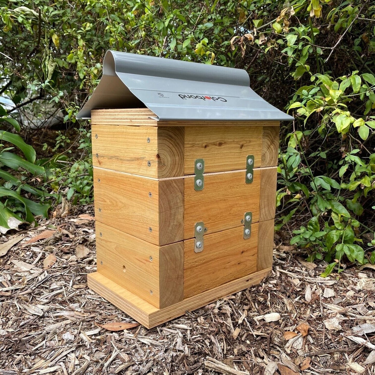 Beloved Bees 50mm Cypress Pine Varnish Rough Sawn Stingless Australian Native Bush Bee Box Hive (Copy) Native Beehive Beloved Bees 