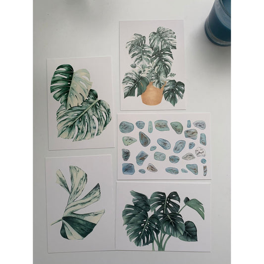 Botanical Post Cards - Set of 5 Post Cards Hayley Morgan - Art Botanic 