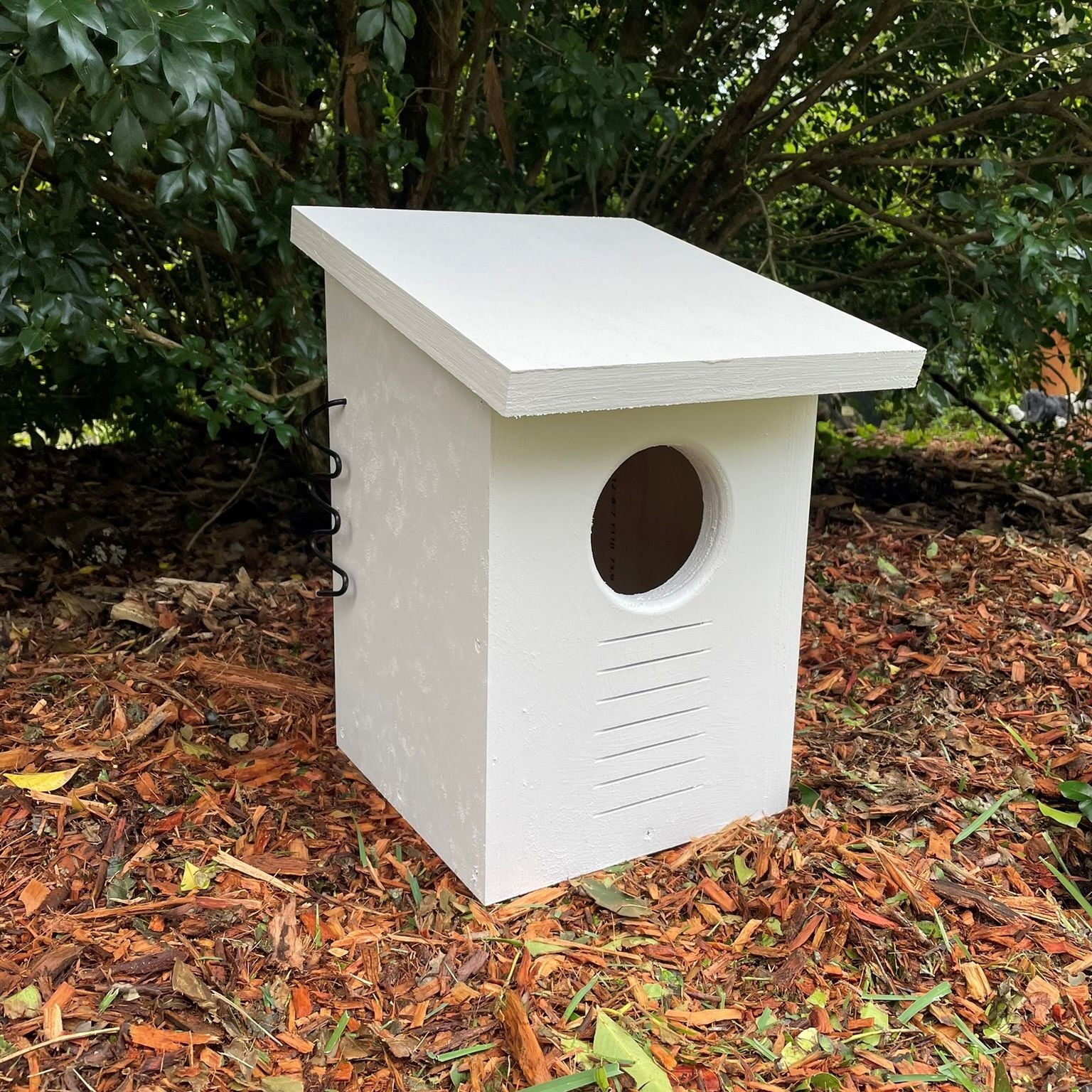 Brushtail Possum Box Brushtail Possum Box ABeeC Hives 