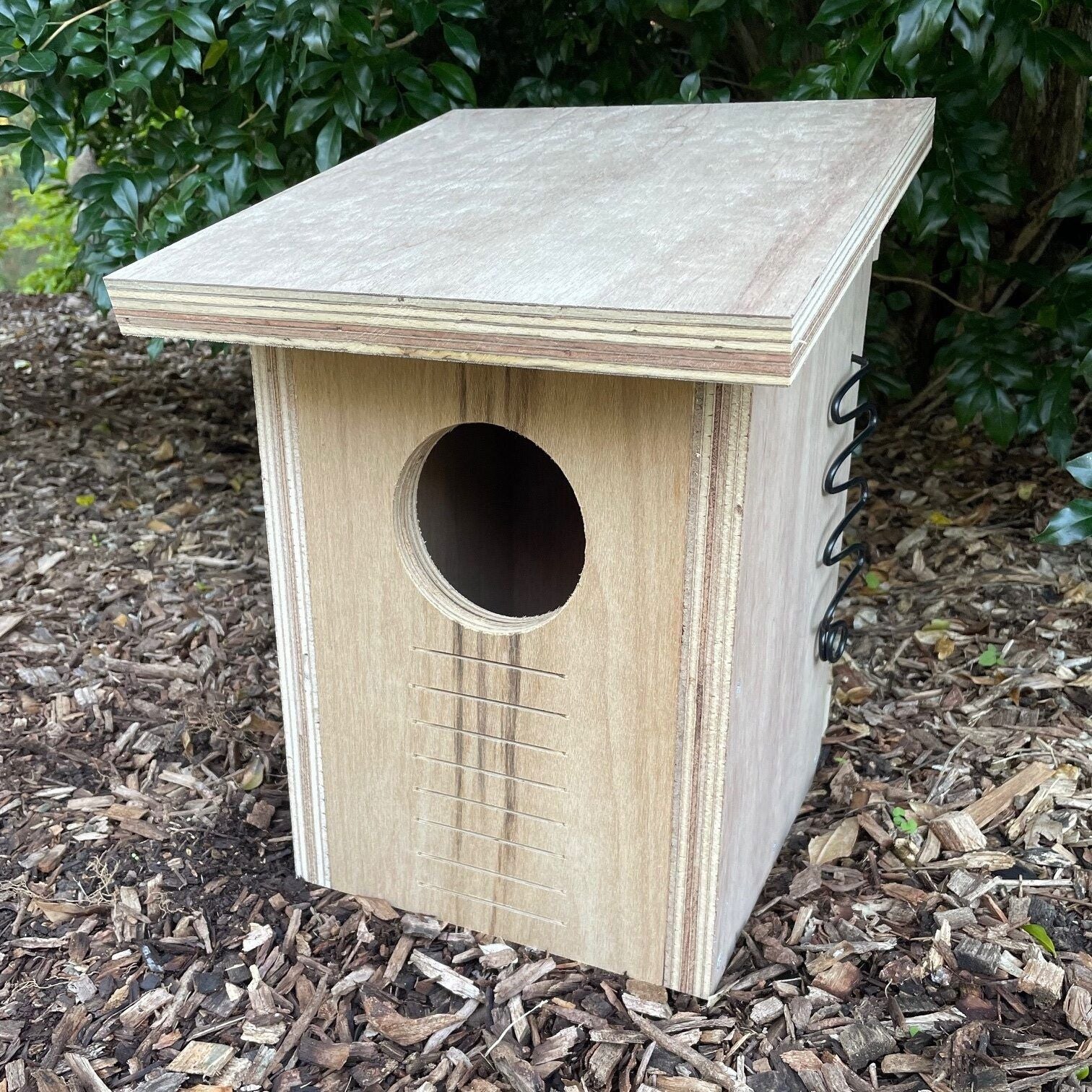 Brushtail Possum Box Brushtail Possum Box ABeeC Hives 