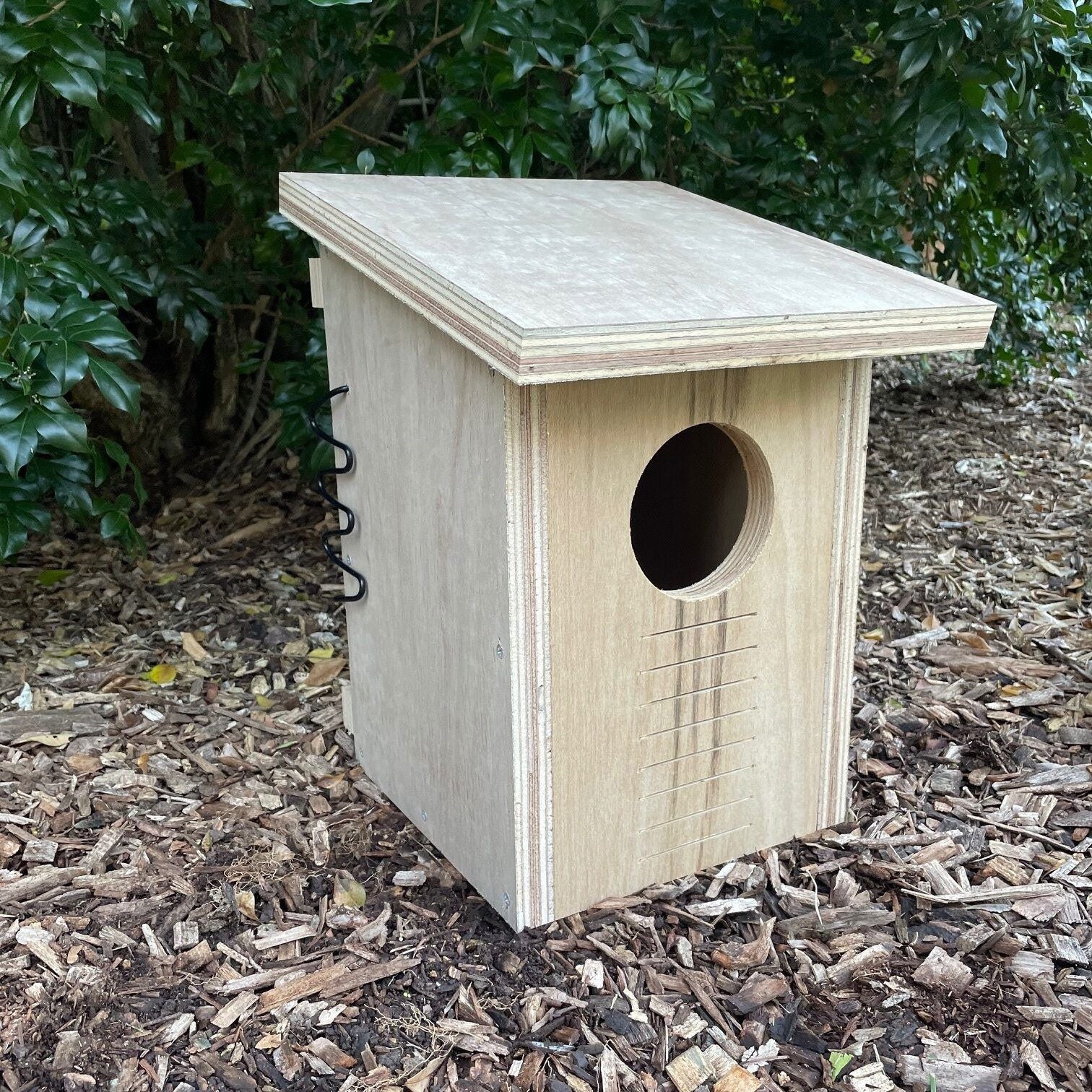 Brushtail Possum Box Brushtail Possum Box ABeeC Hives 