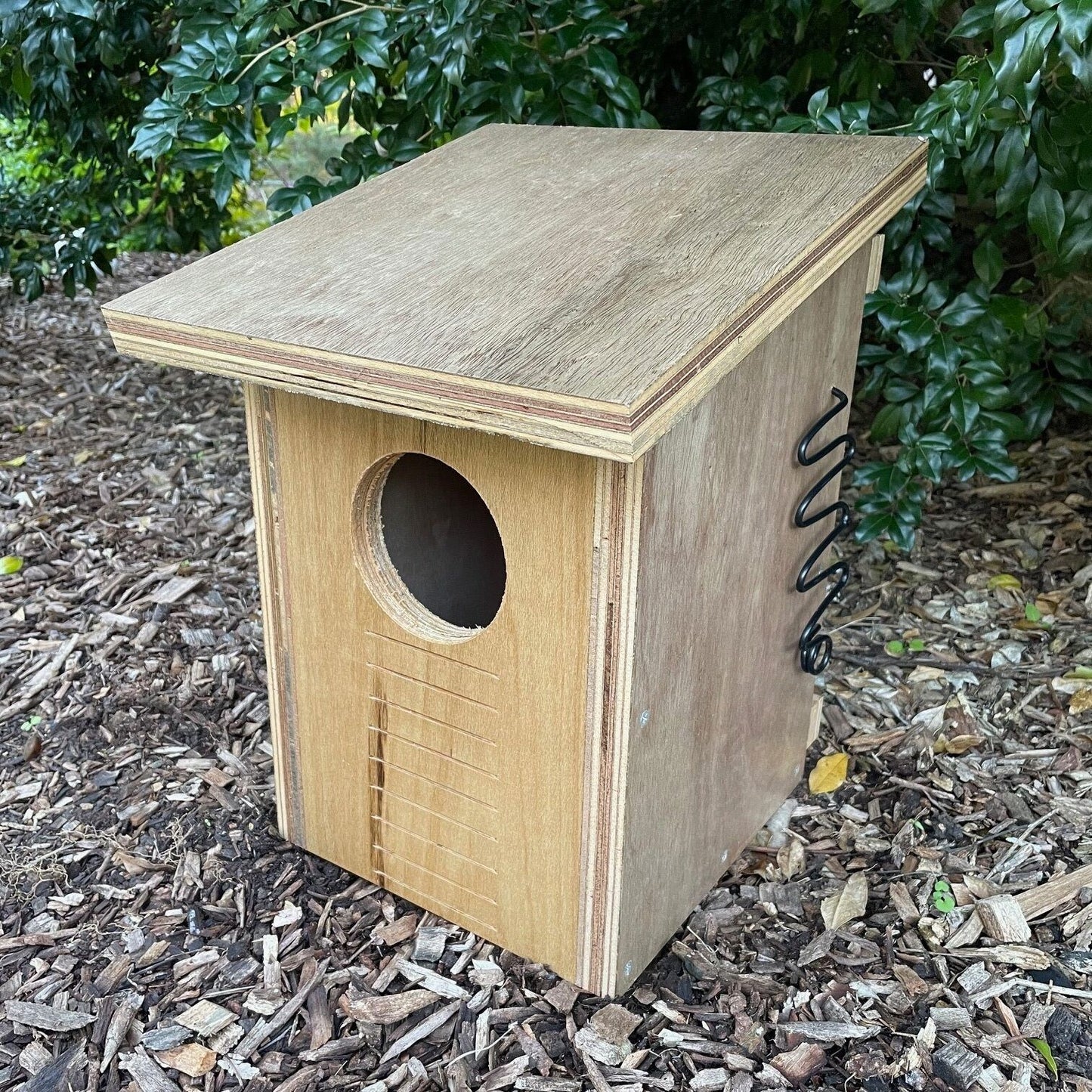 Brushtail Possum Box Brushtail Possum Box ABeeC Hives 