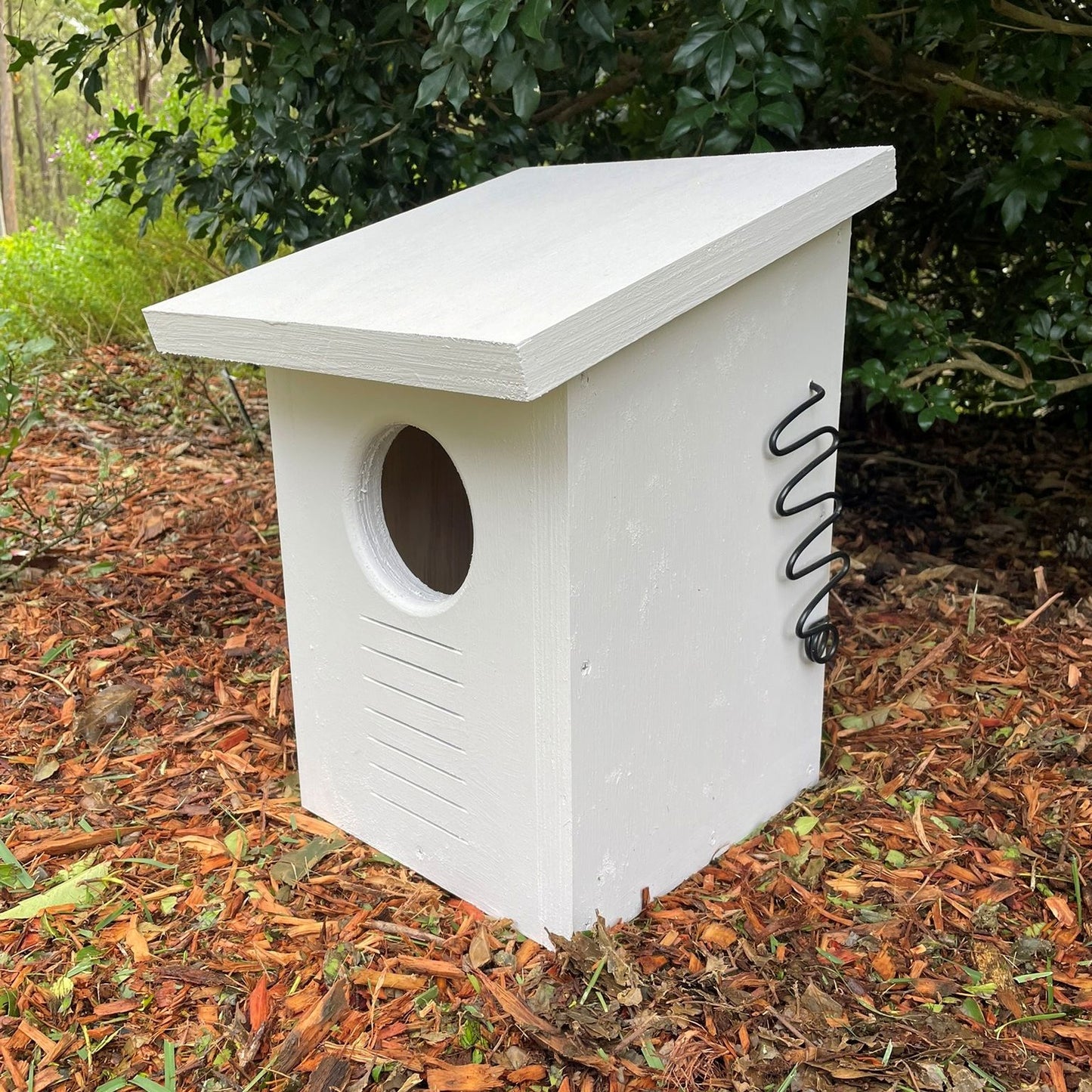 Brushtail Possum Box Brushtail Possum Box ABeeC Hives 