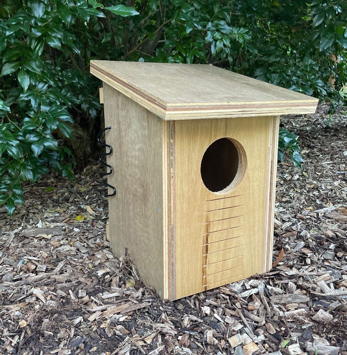 Brushtail Possum Box Brushtail Possum Box ABeeC Hives 