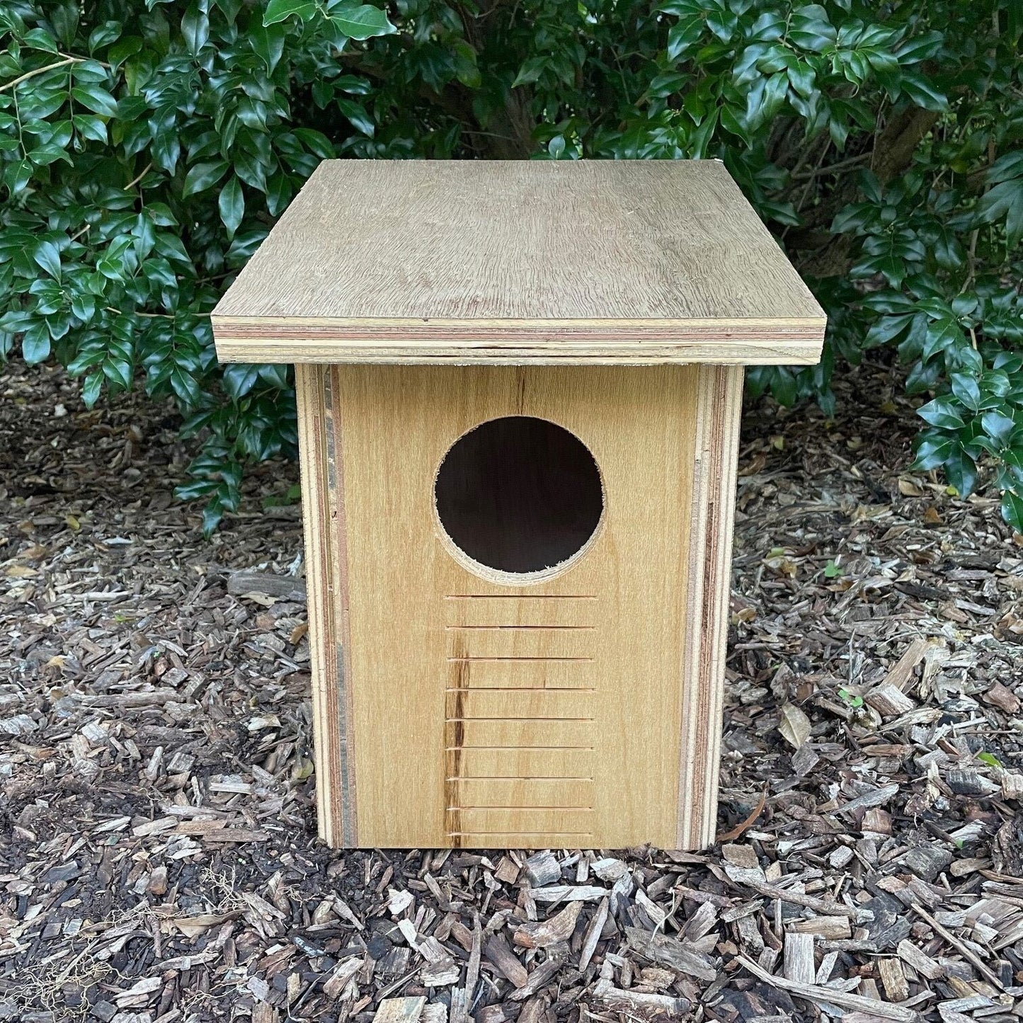 Brushtail Possum Box Brushtail Possum Box ABeeC Hives Built - Clear Coat 