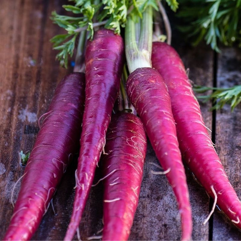 Carrot 'Cosmic Purple' Heirloom Seeds Vegetable Seeds The LIttle Vege Patch Co 