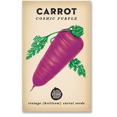 Carrot 'Cosmic Purple' Heirloom Seeds Vegetable Seeds The LIttle Vege Patch Co 