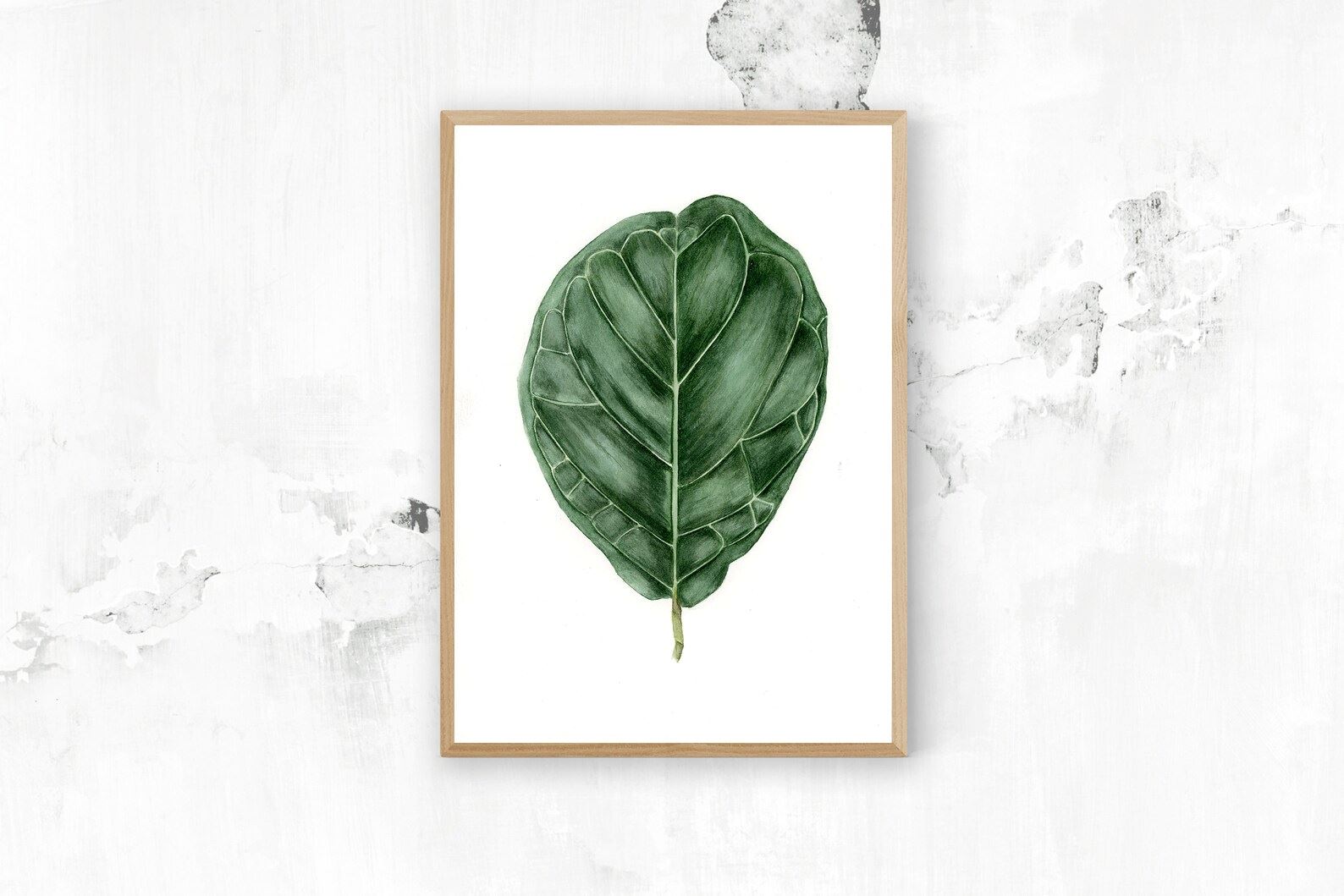 Fiddle Leaf Fig Print Print Plant Folk Store 