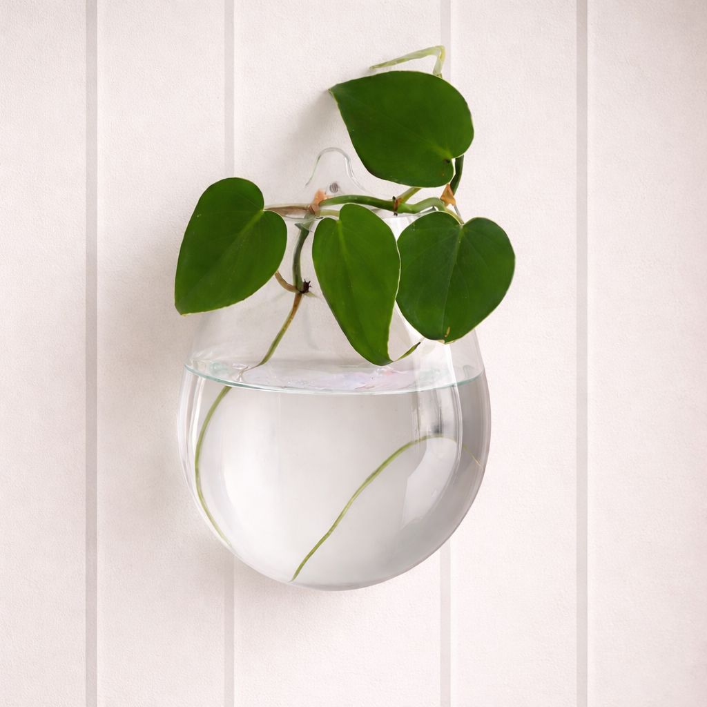 Handblown Recycled Glass Wall Vase - Medium Glass Wall Vase Plant Folk Store 