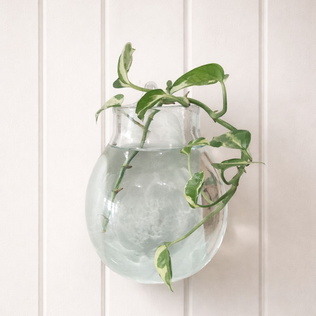 Handblown Recycled Glass Wall Vase - Medium Glass Wall Vase Plant Folk Store 