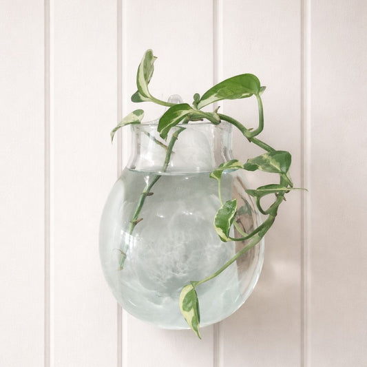 Handblown Recycled Glass Wall Vase - Medium Glass Wall Vase Plant Folk Store 