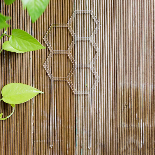 Honey's Coloured Hex Plant Climber - Clear Plant Climber Honey's Plant Climbers 
