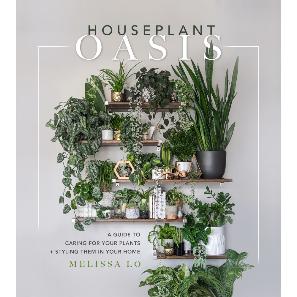 Houseplant Oasis | Hardcover Book Beaglier Books 