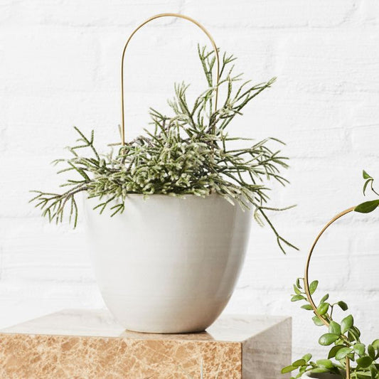 Ivy Muse Brass Plant Stake - Arch Plant Stake The Plant Runner 