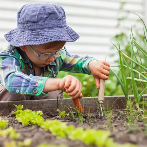 Just For Kids Seed Bombs - 6 pcs Seed Bombs Aussie Seed Bombs 