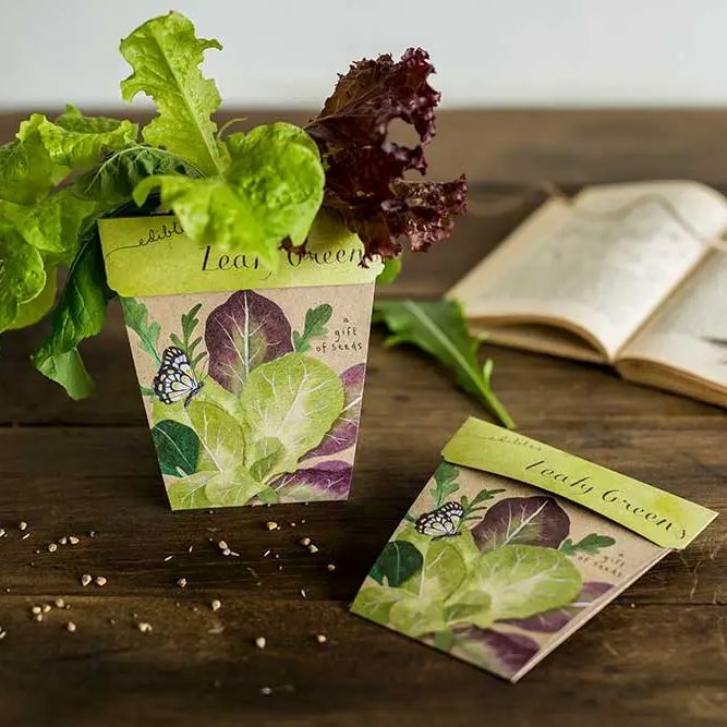 Leafy Greens Gift of Seeds Seeds Sow 'n Sow 