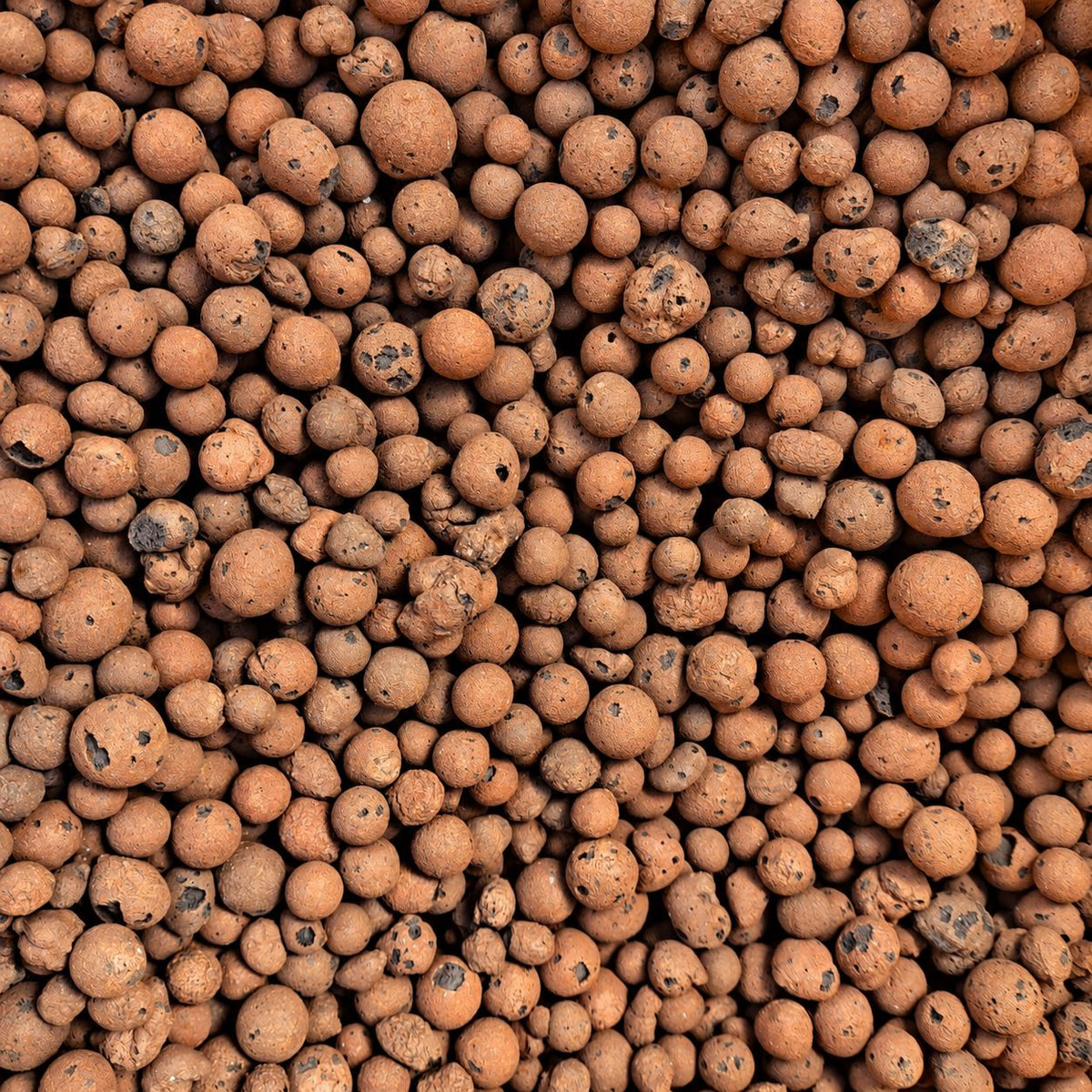 LECA Clay Balls for Indoor Plants | Semi Hydro Clay Pebbles LECA Plant Folk Store 