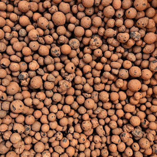 LECA Clay Balls for Indoor Plants | Semi Hydro Clay Pebbles LECA Plant Folk Store 