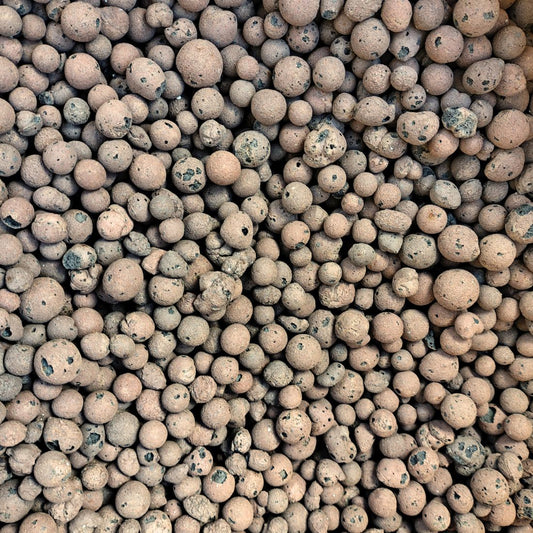 LECA Clay Balls for Indoor Plants | Semi Hydro Clay Pebbles LECA Plant Folk Store 