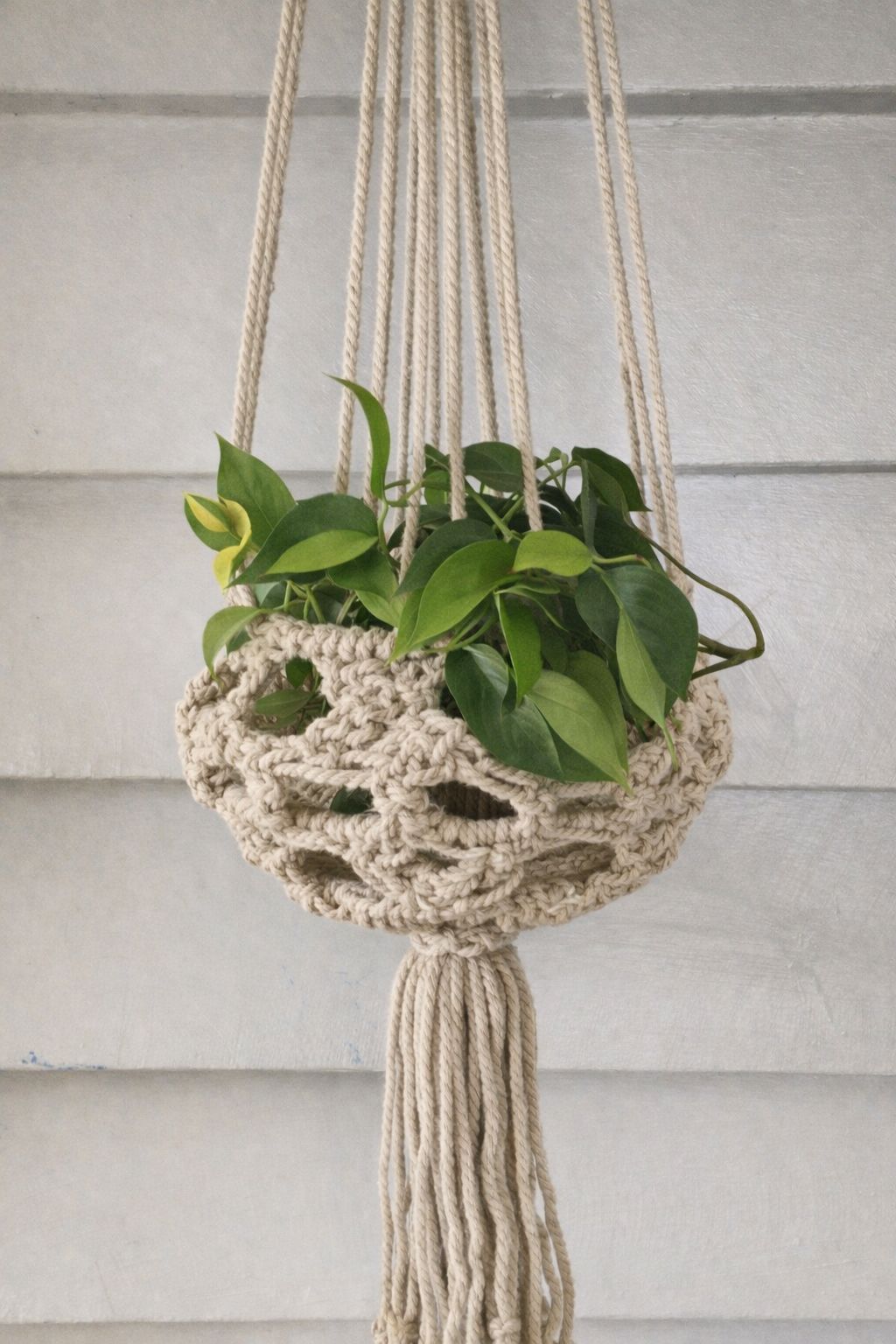 Macrame Plant Hanger - Latte Macrame Hanging Planter Plant Folk 