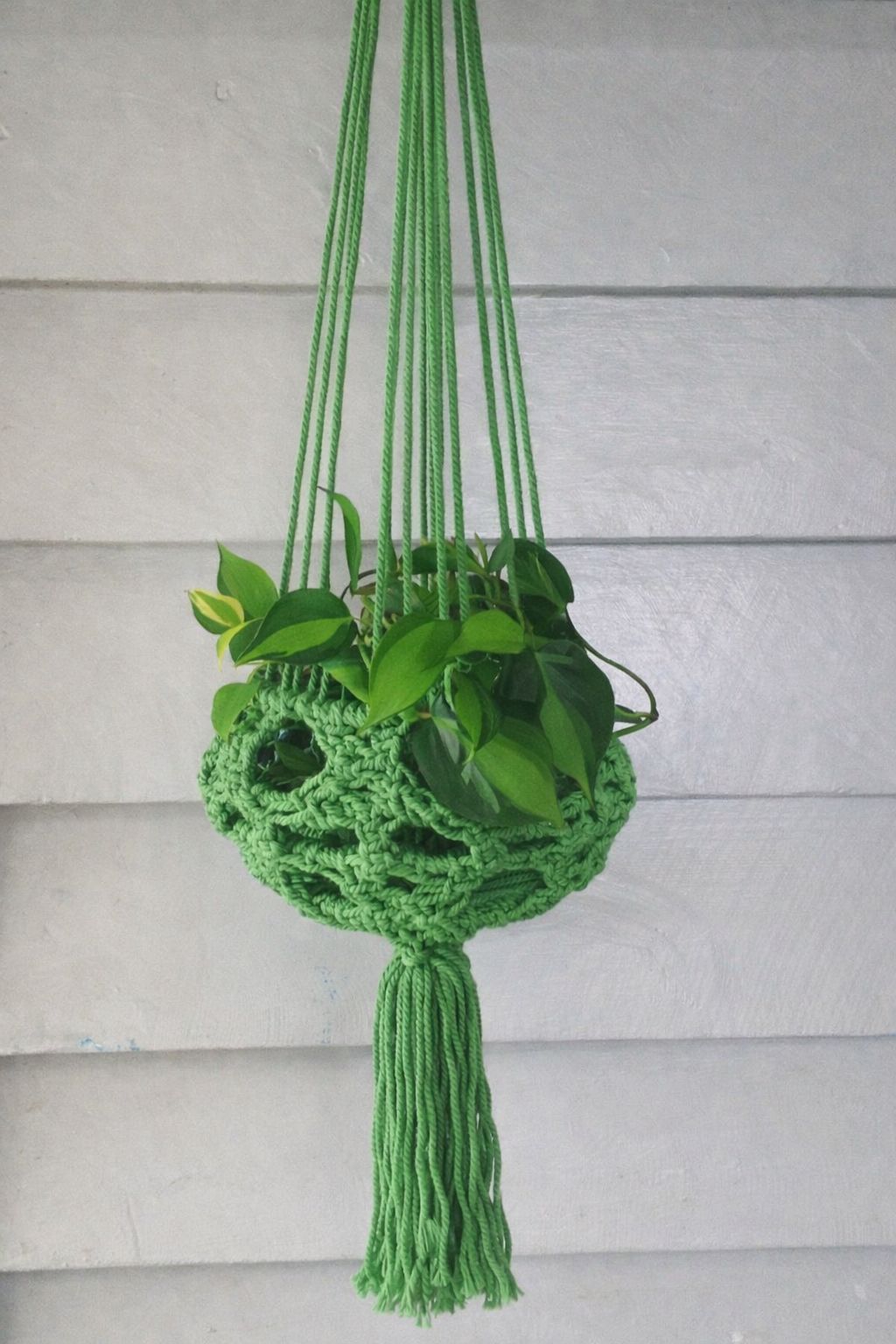 Macrame Plant Hanger - Moss Macrame Hanging Planter Plant Folk 