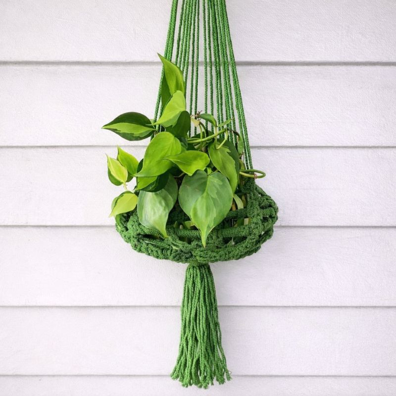 Macrame Plant Hanger - Moss Macrame Hanging Planter Plant Folk 