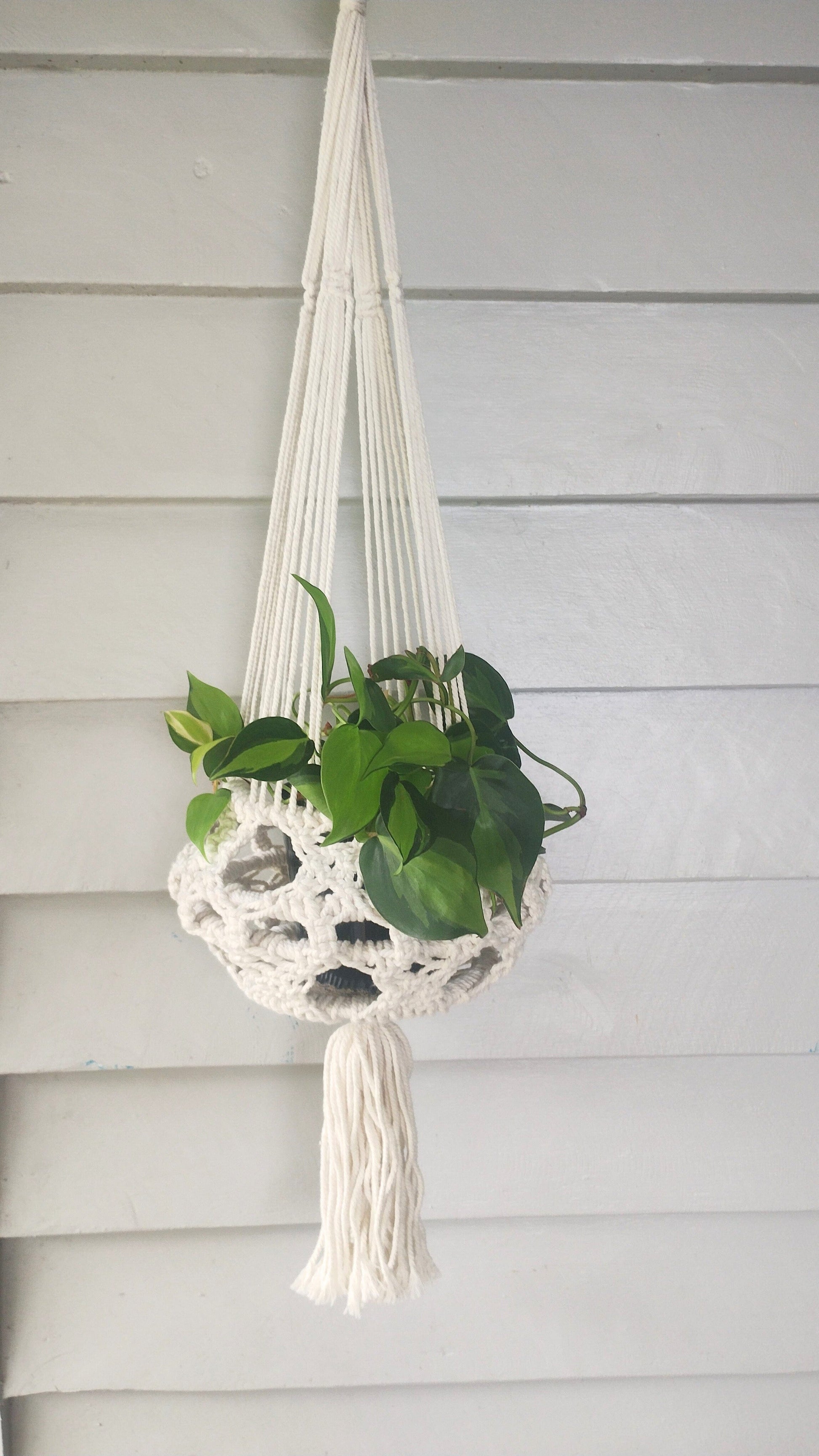 macrame plant hanger in store Macrame Plant Hanger - Natural