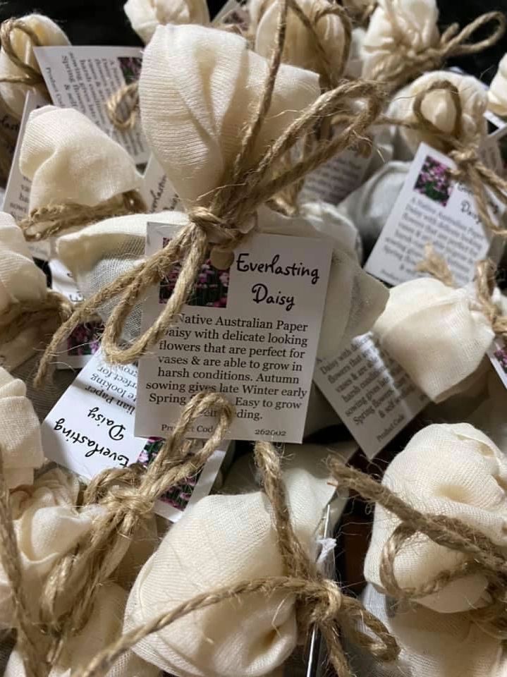 Native Pink & White Everlasting Daisies Seed Bombs - 6 pcs Seed Bombs Aussie Seed Bombs 