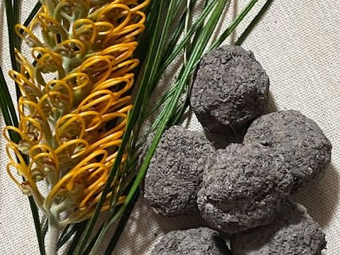 Native Pink & White Everlasting Daisies Seed Bombs - 6 pcs Seed Bombs Aussie Seed Bombs 