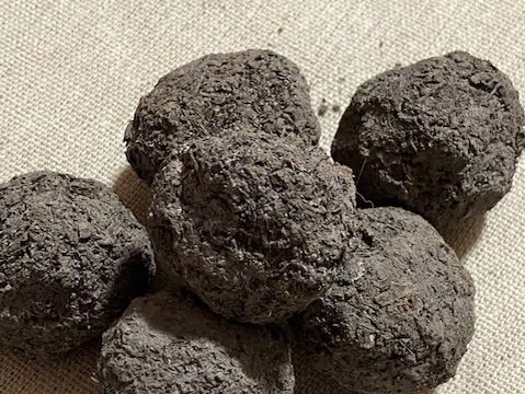 Native Pink & White Everlasting Daisies Seed Bombs - 6 pcs Seed Bombs Aussie Seed Bombs 