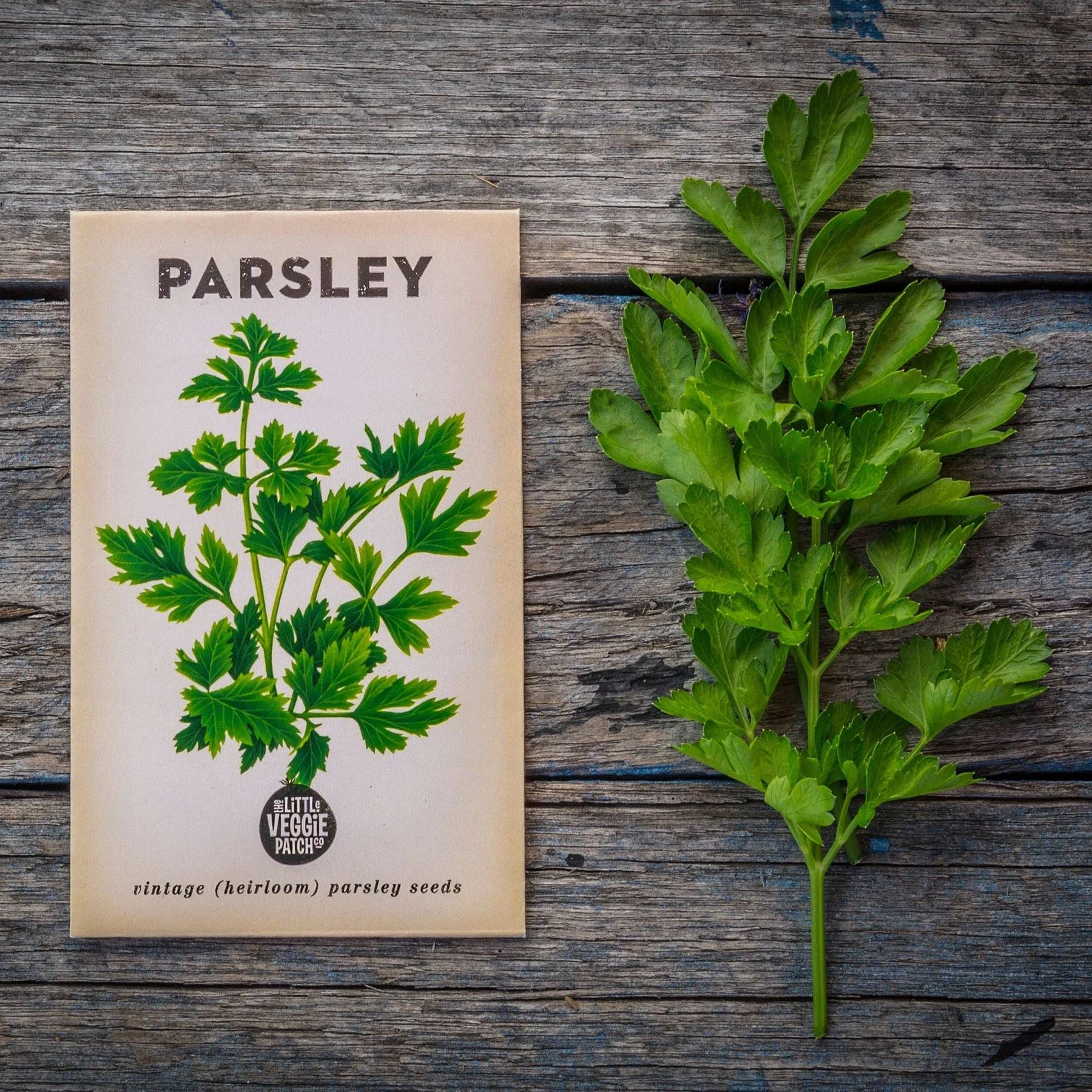 Parsley "Italian" Heirloom Seeds Herb Seeds The LIttle Vege Patch Co 