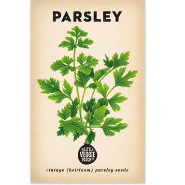 Parsley "Italian" Heirloom Seeds Herb Seeds The LIttle Vege Patch Co 