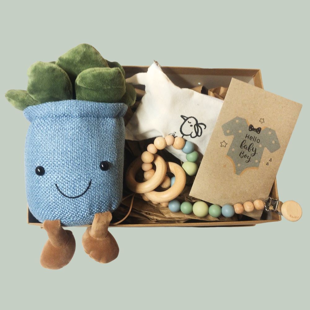 Plant Lover New Baby Gift Box - Blue Gift Box Plant Folk 