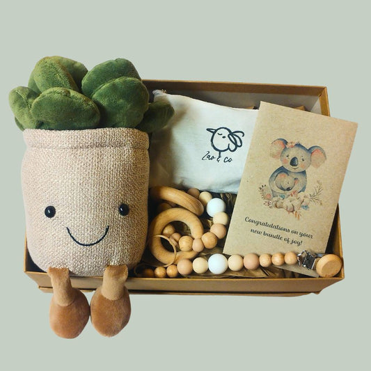 Plant Lover New Baby Gift Box - Natural Gift Box Plant Folk 