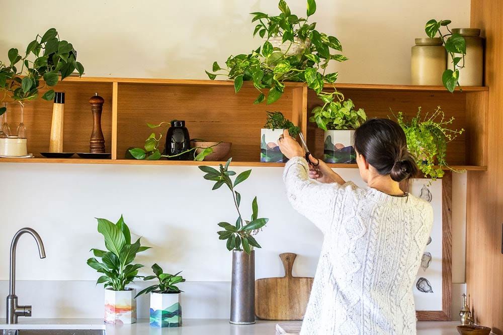 Pop Up Pot 'Mountain' Small Pop Up Pot Sow 'n Sow 