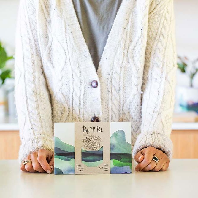 Pop Up Pot 'Mountain' Small Pop Up Pot Sow 'n Sow 