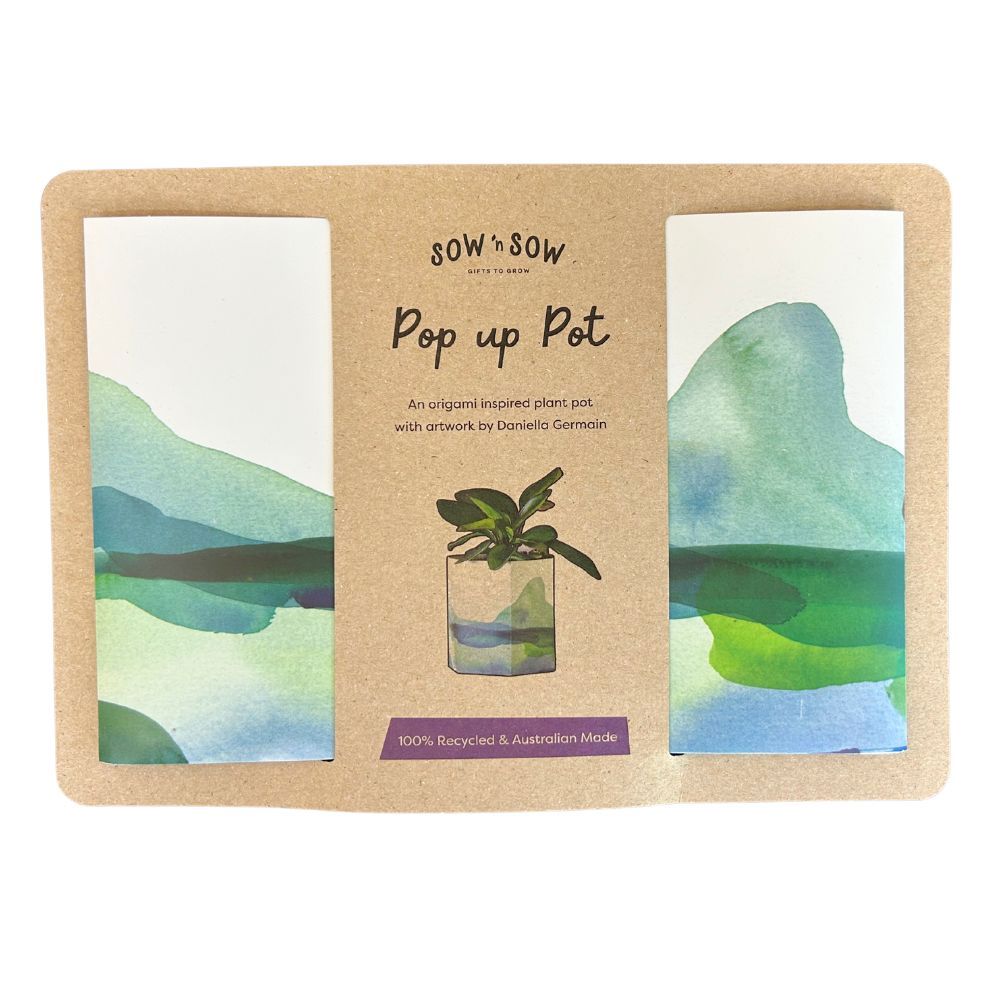 Pop Up Pot 'Mountain' Small Pop Up Pot Sow 'n Sow 