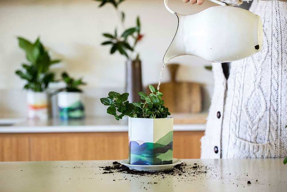 Pop Up Pot 'Mountain' Small Pop Up Pot Sow 'n Sow 