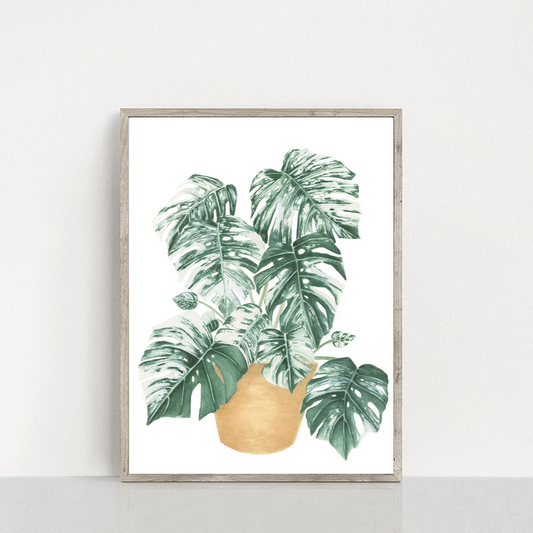 Potted Monstera Plant Print